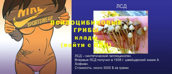 гидропоника Аркадак
