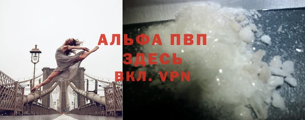 прущие грибы Абаза