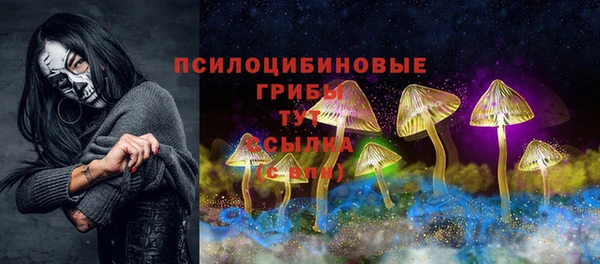2c-b Алзамай