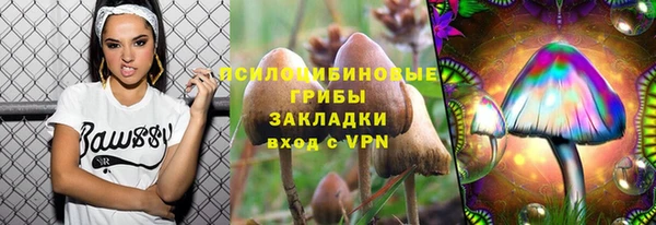 2c-b Алзамай
