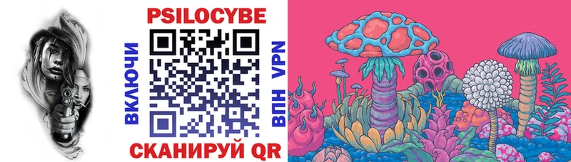 как найти наркотики  Пучеж  Псилоцибиновые грибы мухоморы 